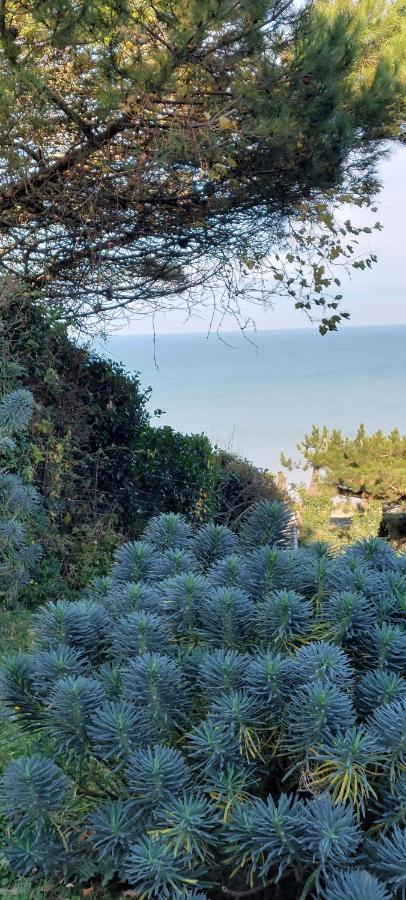 Le Cise Eau A Bois Apartman Le Bois de Cise Kültér fotó